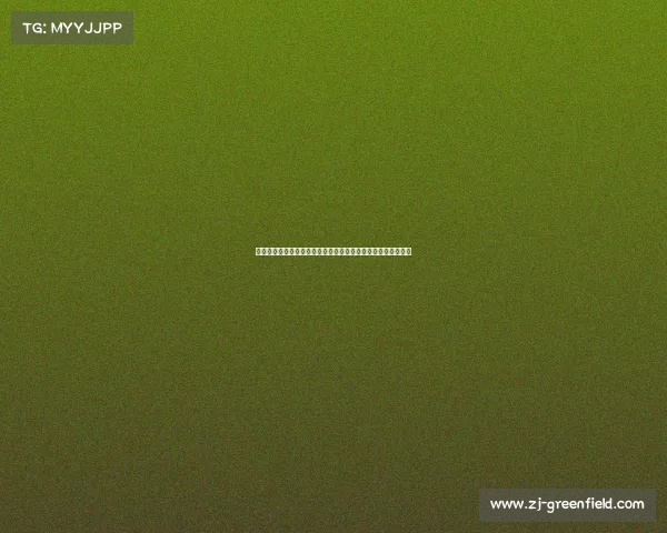 河南散打超级联赛群雄逐鹿中原汇聚武林豪杰巅峰之战二零二四